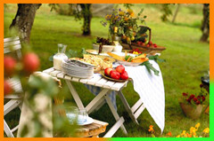 Новость: Отчет о выезде на природу upd Едем на природу!