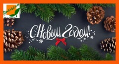 Новость: Поздравляем с наступающим Новым годом!